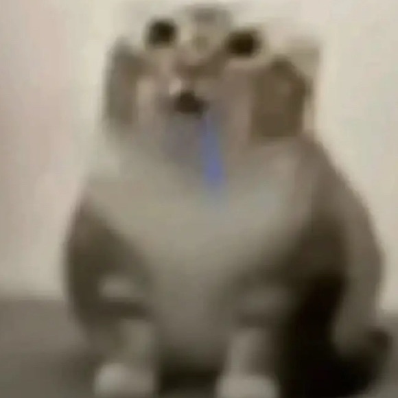 aaliciango